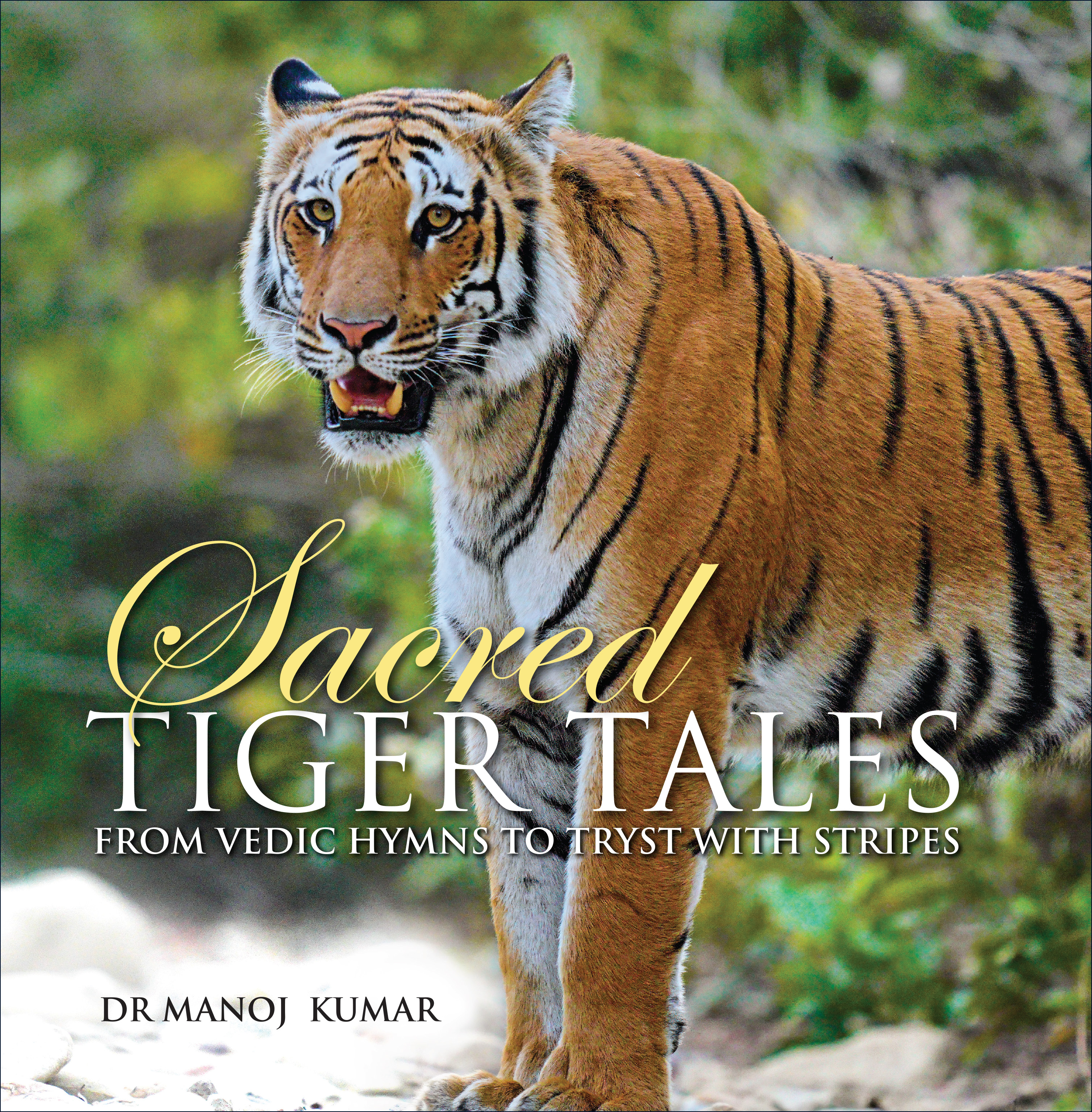 Sacred Tiger Tales  — book cover, by Dr Manoj Kumar